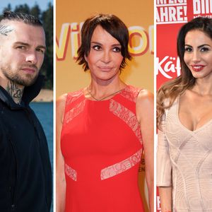Wilde Dschungelgerüchte: Was taugt der mögliche Cast 2022?