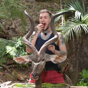 Kudu-Hirn: Eric tritt im Dschungel-Finale zur Ekelprüfung an