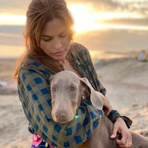 Verschmust: Ryan Gosling & Eva Mendes zeigen neuen Hund