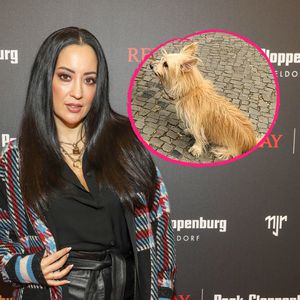 "Noteinsatz": Miyabi Kawai bangt um das Leben ihrer Hündin