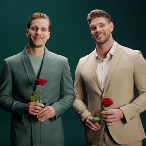 "Die Bachelors" müssen sich noch an Fame und Fans gewöhnen