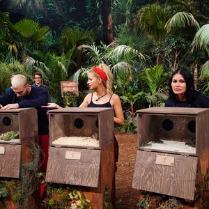 Endspurt! Letzte Dschungelshow-Challenge vor dem Halbfinale
