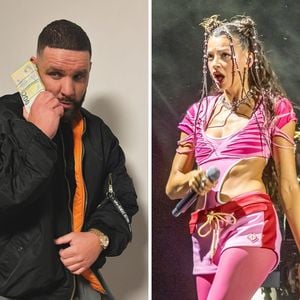 Fler erntet Shitstorm nach derber Nina-Chuba-Anmache