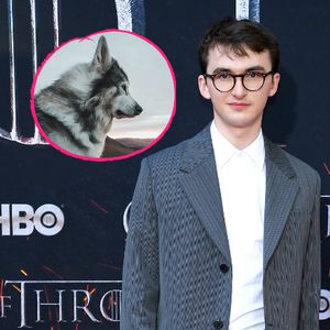 "Game of Thrones"-Fans trauern: Brans Wolf ist gestorben