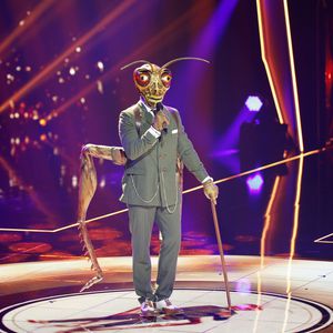 Erste Hinweise auf die neuen "The Masked Singer"-Kostüme!