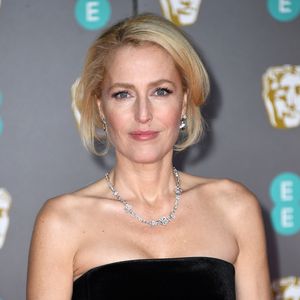 Gillian Anderson wünschte sich während Single-Zeit mehr Sex