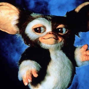 Endlich bestätigt: "Gremlins 3" hat grünes Licht bekommen