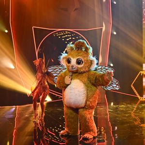 Dieser Star schafft es nicht in das "Masked Singer"-Finale!