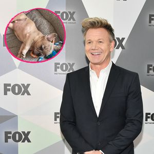 Gordon Ramsay überglücklich: Seine Familie ist gewachsen