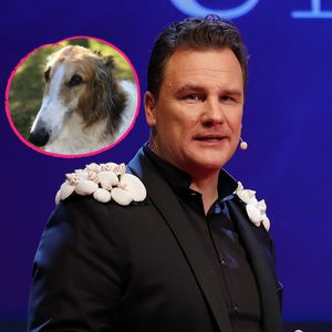 Weiterer Verlust: Guido Maria Kretschmer trauert um Hündin!