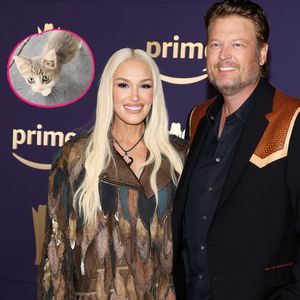 Großes Herz: Gwen Stefani und Blake retten krankes Kätzchen