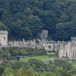 Vor UK-Dschungelcamp-Burg: Frau bei Horror-Crash getötet
