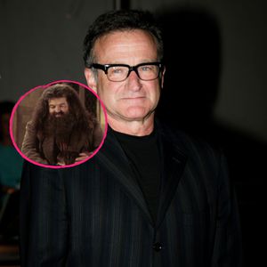 Hagrid in "Harry Potter": Robin Williams wollte die Rolle