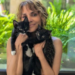 Stolze Katzenmama: Halle Berry präsentiert ihre "Fellbabys"