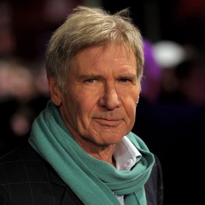 Schon wieder! Flugzeug-Zwischenfall bei Harrison Ford