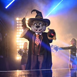 "The Masked Singer"-Aus: Er steckte unter Harry-Otter-Kostüm