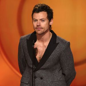 Harry Styles im Versace-Dschungelkleid: KI-Foto geht viral