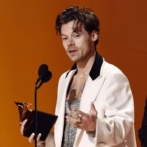 Harry Styles rät Konzertbesucherin, Partner zu verlassen!