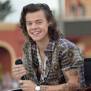 Wer ist jetzt im Bett mit Harry Styles?