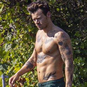 So hot genießt Harry Styles seinen freien Sommer am Teich!