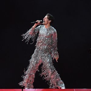 Mega-Fan von Harry Styles stahl bei Grammys allen die Show!