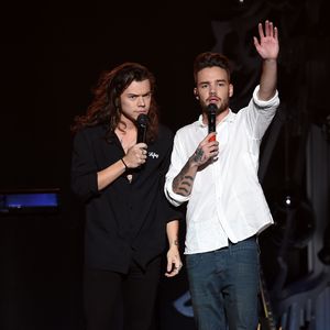Neuer Style(s): Solo-Platte von Ex-1D-Harry nahezu fertig