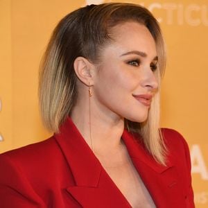 Brian Hickerson hofft auf Hochzeit mit Ex Hayden Panettiere