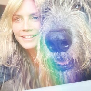 So süß überraschten Heidi Klum und Tom Kaulitz ihren Hund