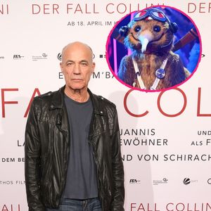 Wird Heiner Lauterbach den "Masked Singer"-Kiwi enttarnen?