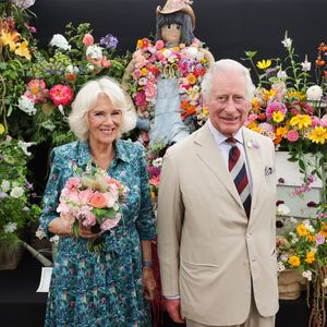 Neue Titel von Charles und Co.: Website der Royals angepasst