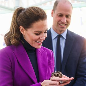Furchtlos! Hier spielt Herzogin Kate mit einer Vogelspinne
