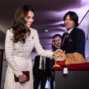 Weltberühmter Kater: Bob lernte sogar Herzogin Kate kennen!