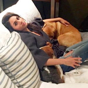 Herzogin Meghan trauert im Netz um verstorbenen Hund Guy