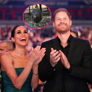 Tierischer Notfall: Meghan und Prinz Harry adoptieren Huhn!