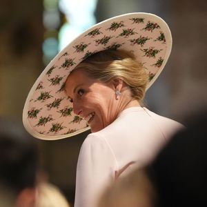 Keine Robe für Sophie? Neues Royal-Porträt wirft Fragen auf