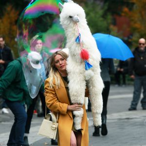"Lizzie McGuire"-Drehstart: Hilary Duff mit Alpaka in N.Y.