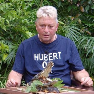 So viele Sterne erfuttert Hubert in letzter Dschungelprüfung
