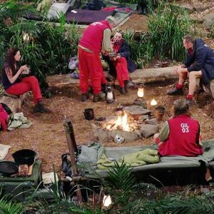 400 Australier: Mitarbeiter enthüllt Dschungelcamp-Insights