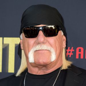 "Bremsen geschmolzen": Hulk Hogans Flugzeug musste notlanden