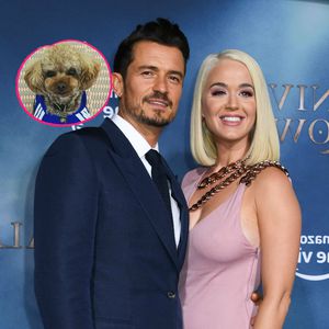 Tod des Hundes: So bewies Orlando Katy seine Vaterqualitäten