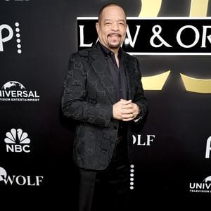 Nach Sparmaßnahme jetzt fix: Ice-T wieder bei "Law & Order"