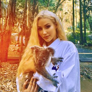 Koala-Kuscheln: Iggy Azalea sammelt Spenden für Tierklinik
