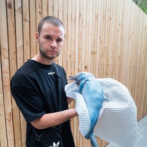 PR-Stunt: Alles zum Baby-Delfin-Skandal von Inscope21!