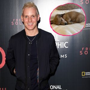 Atemnot wegen Welpe: UK-Star Jamie Laing ist im Krankenhaus