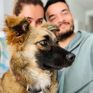 Nach Tod von Hund Tyson: Zarrellas haben neuen Vierbeiner