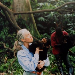 Jane Goodalls letzte Tage: Ihre Assistentin enthüllt Details