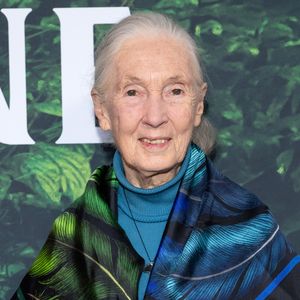 Zum 90. Geburtstag: Jane Goodall teilt bewegende Message!