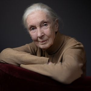 Ikone der Wissenschaft Jane Goodall ist mit 91 verstorben