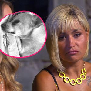 Ein Tag nach Willi Herren: Auch Jasmins Hund ist gestorben!