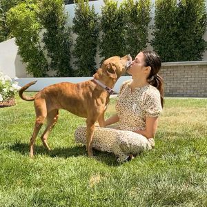Plötzlicher Tod: Jenna Dewan und Steve trauern um ihren Hund